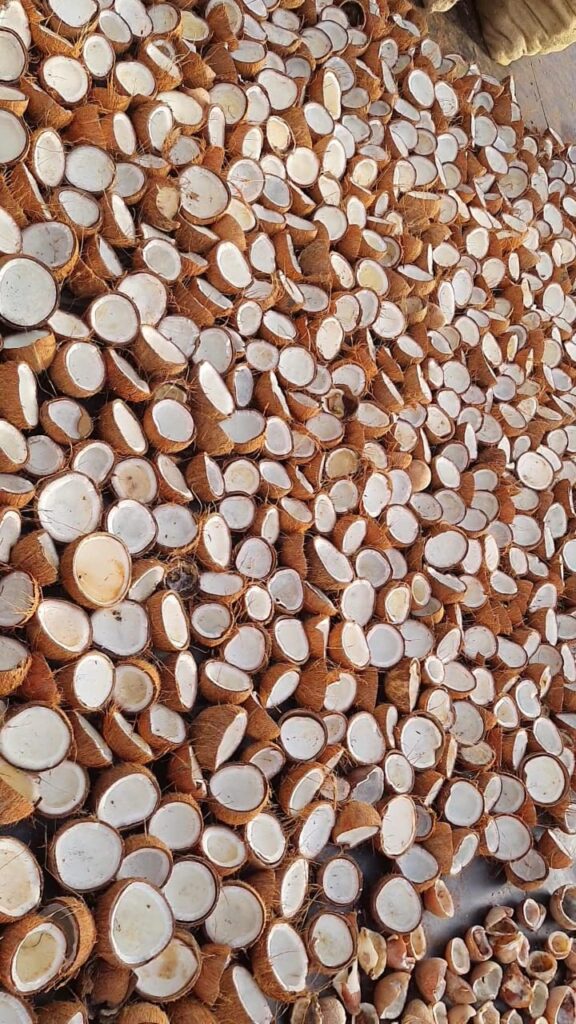 IMG 20250825 WA0156 576x1024