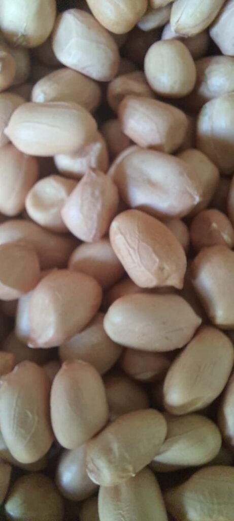 IMG 20250825 WA0157 461x1024