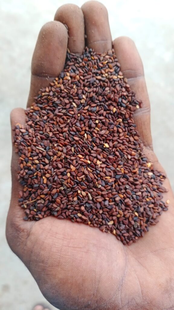 IMG 20250825 WA0161 576x1024