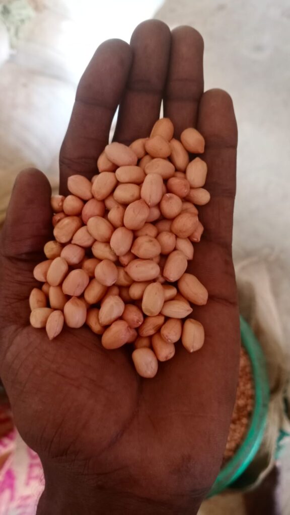 IMG 20250825 WA0162 576x1024