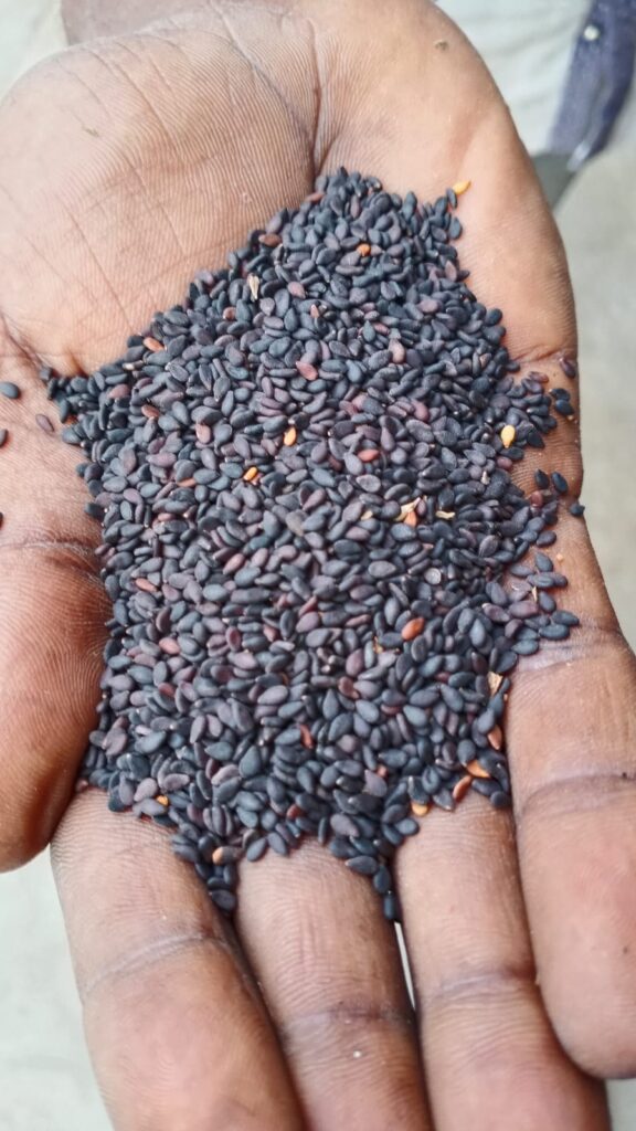 IMG 20250825 WA0163 576x1024