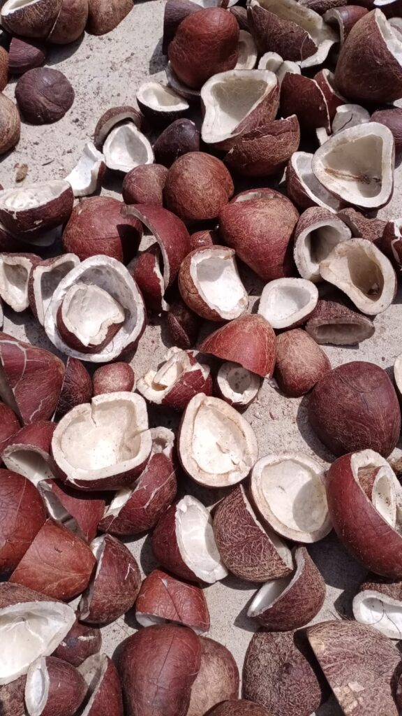 IMG 20250825 WA0164 576x1024