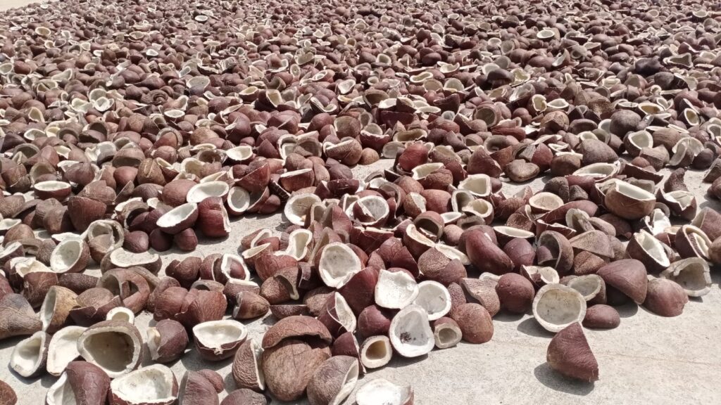 IMG 20250825 WA0165 1024x576