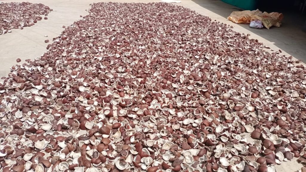 IMG 20250825 WA0166 1024x576