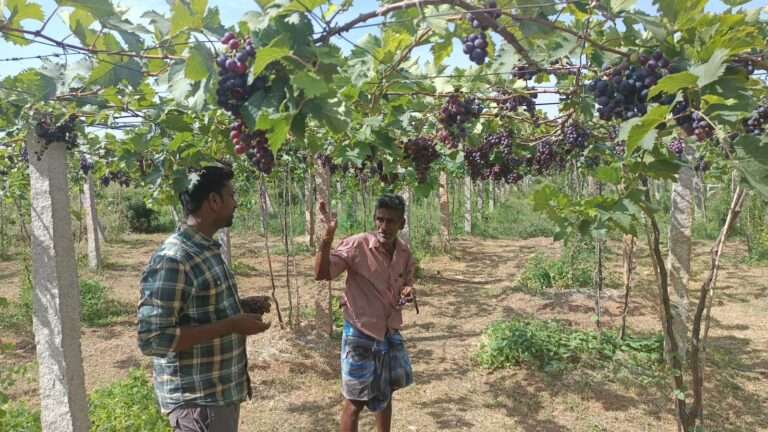 WhatsApp Image 2025 09 12 at 15.02.23 768x432