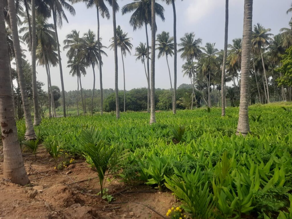 WhatsApp Image 2025 12 27 at 13.43.53 1024x768