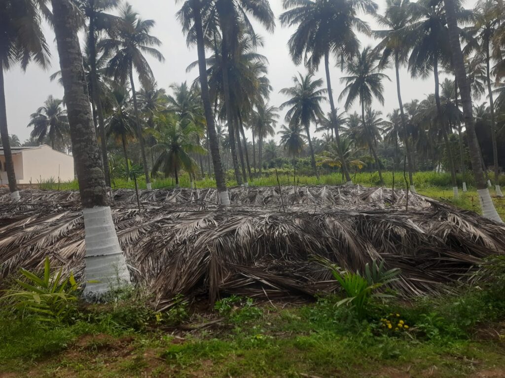 roots compost 1024x768